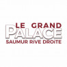  eTicket cinéma Le grand Palace Saumur valable jusqu'au 06 mai 2025