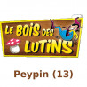  eTicket entrée le bois des lutins Peypin (5 ans et + ) valable jusqu'au 25 avril 2026