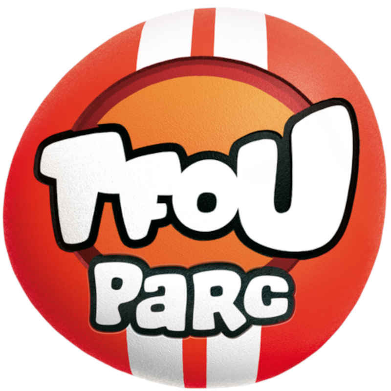 11,00€ ticket entrée Tfou Parc Lille Tourcoing moins cher avec Accès CE